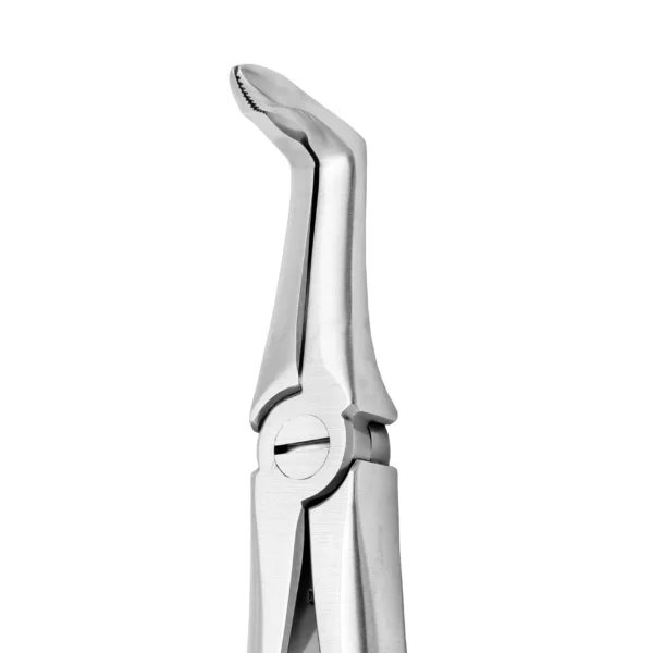 Lower Root X-Trac Forceps - Image 2