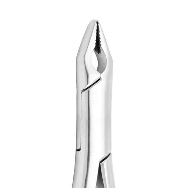 Lower Root X-Trac Forceps-02 - Image 2