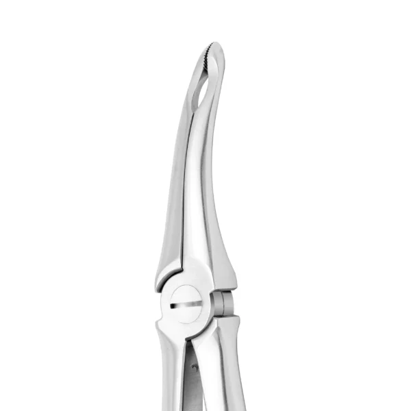 Universal Root, X-Trac Forceps