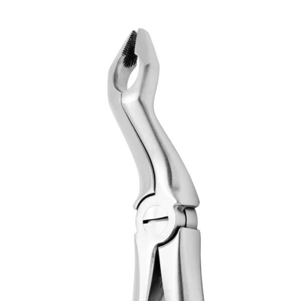 Upper 3rd Molar Forceps