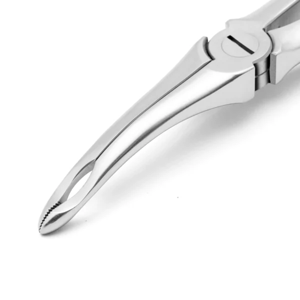 Universal Root, X-Trac Forceps